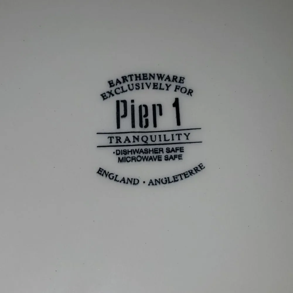 Pier 1 Imports Tranquility Dinner Plate
